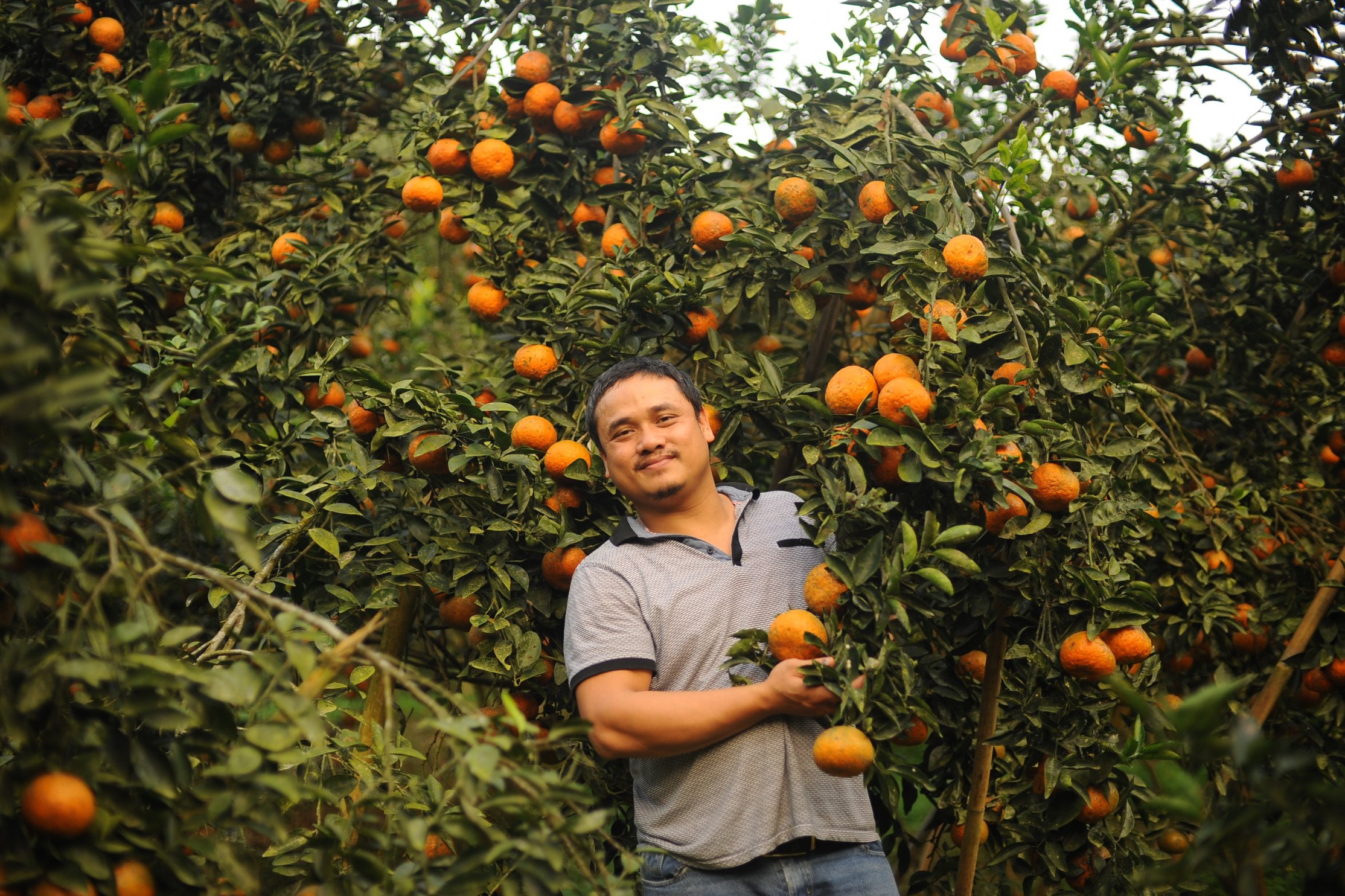 Công ty cổ phần Cam Ta